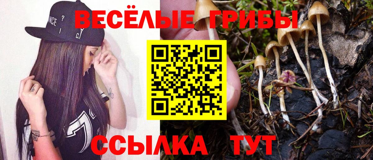 Псилоцибиновые грибы Magic Shrooms Тара