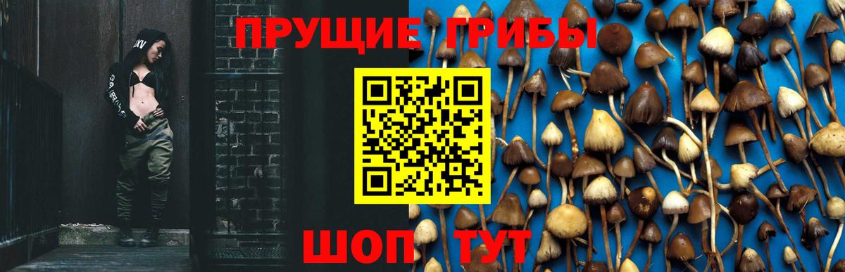 Галлюциногенные грибы Cubensis  Вход с VPN  Тара 